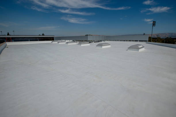 Best Solar Panel Roofing Installation  in La Blanca, TX