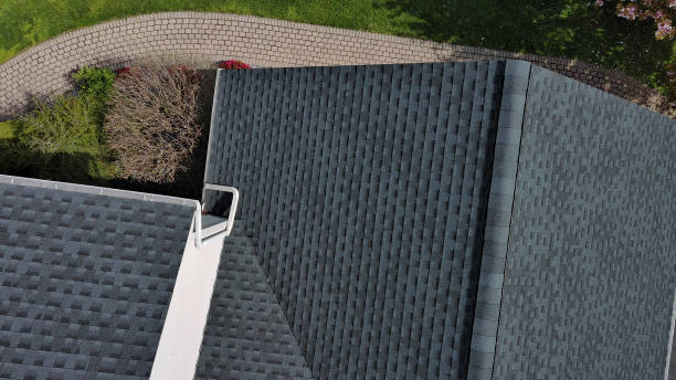 Professional Roofing Service in La Blanca, TX