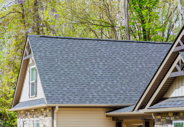 Best Roof Insulation Installation  in La Blanca, TX