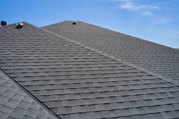 Best Sheet Metal Roofing  in La Blanca, TX