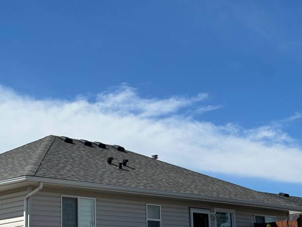 Fast & Reliable Emergency Roof Repairs in La Blanca, TX